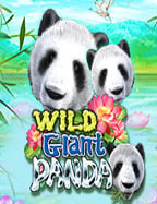 ทาง เข้า joker888: สูตรชนะที่คุณต้องรู้